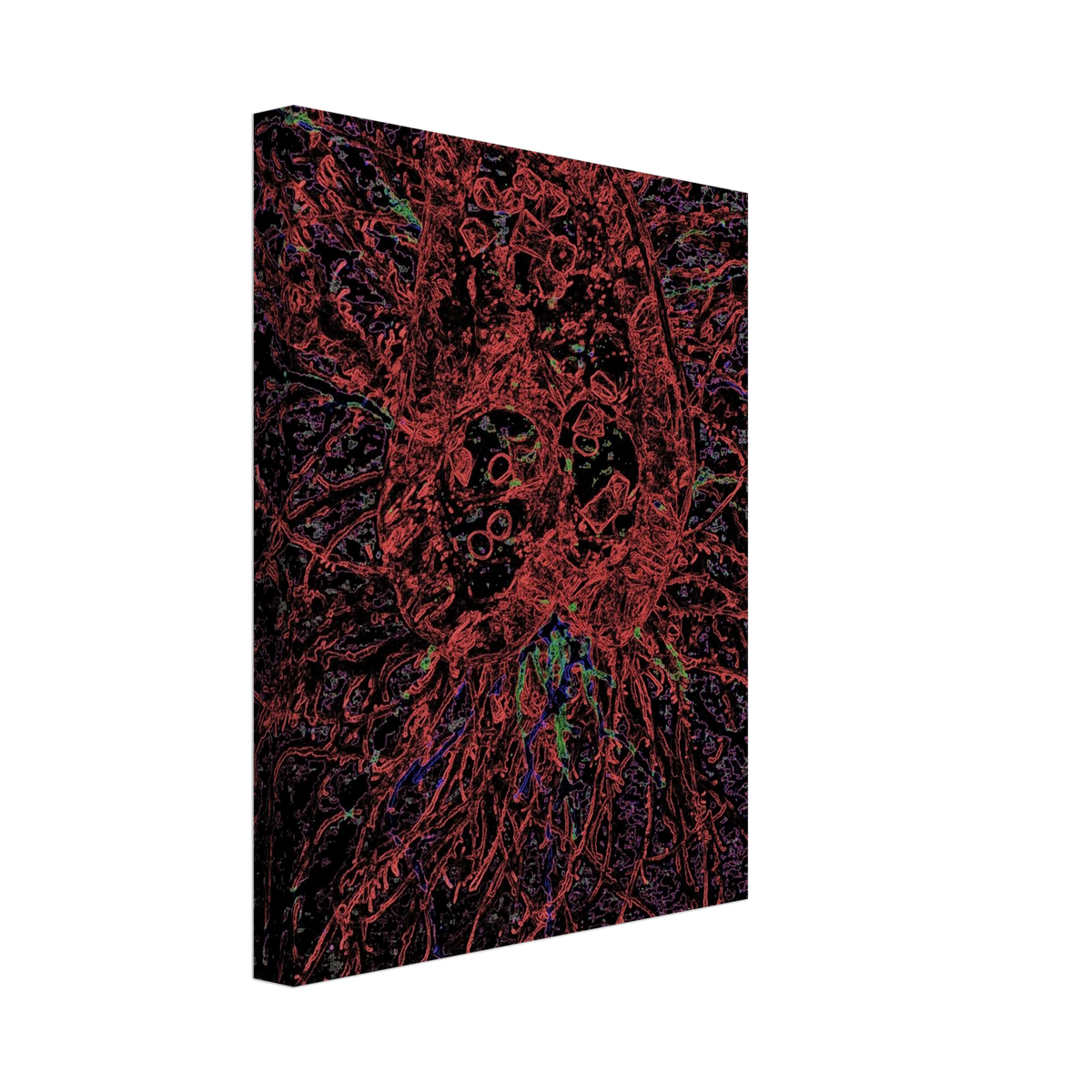 1f0bfdc6-5e34-4769-b78a-d32366fe2c85