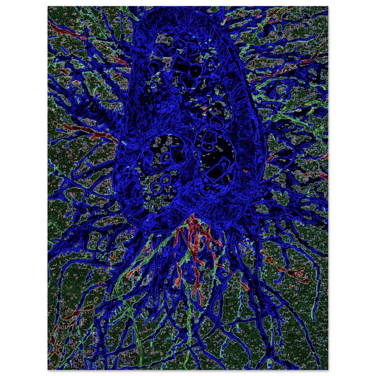 255a51c0-0024-422b-b183-79740e815994