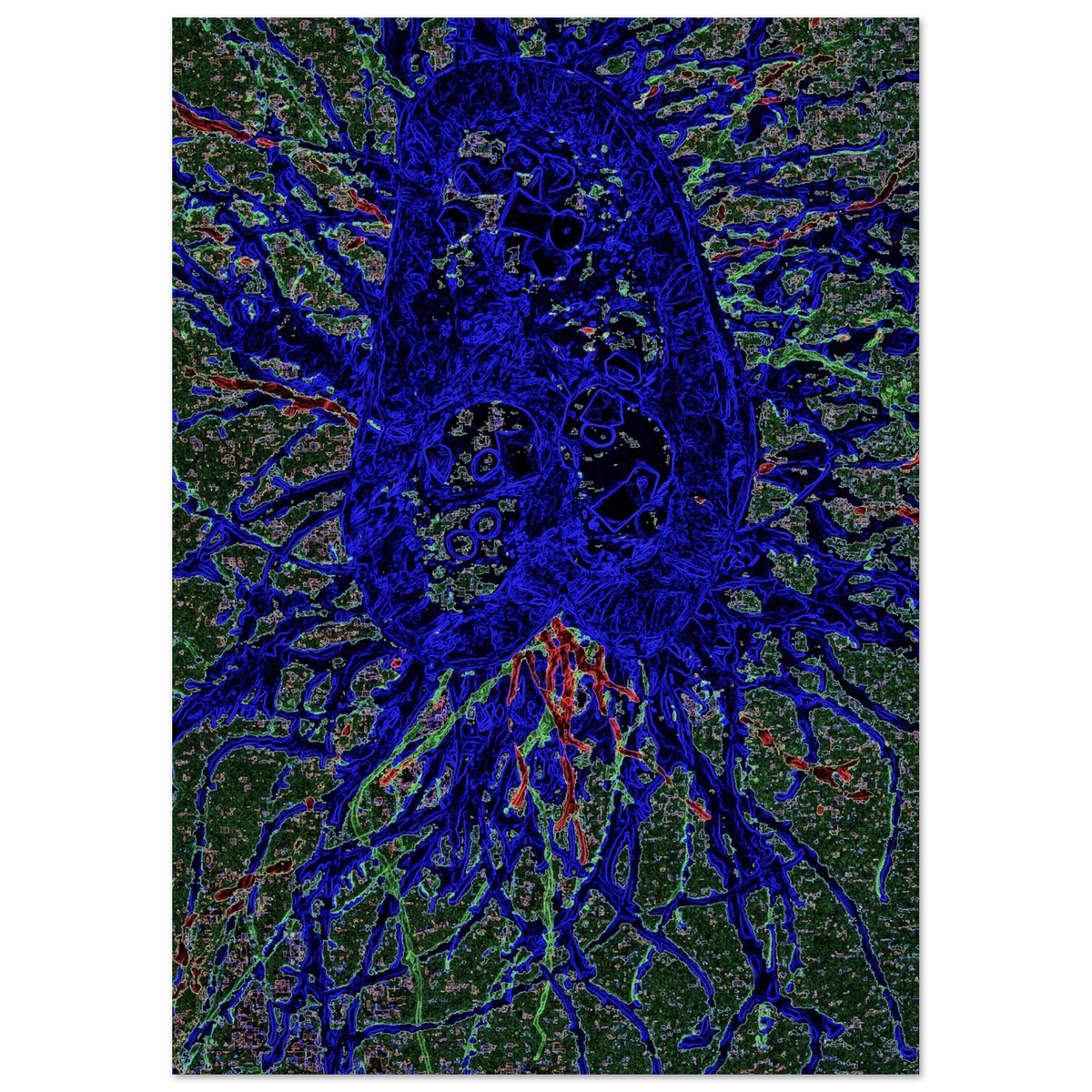 78a2f309-a147-4fa6-92cc-8a080175f518