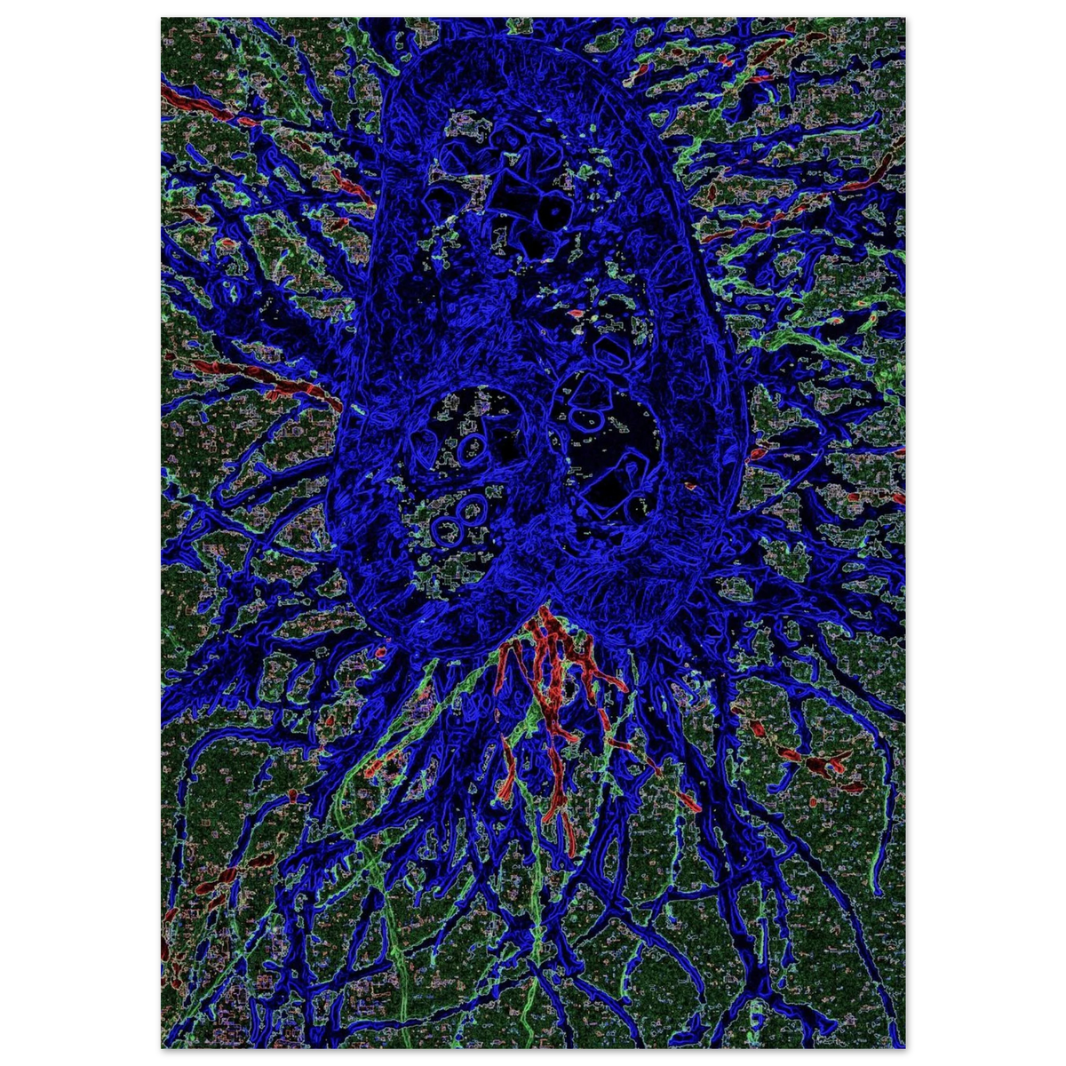 97a988e4-6aaf-4e60-b769-b38280ce3e59