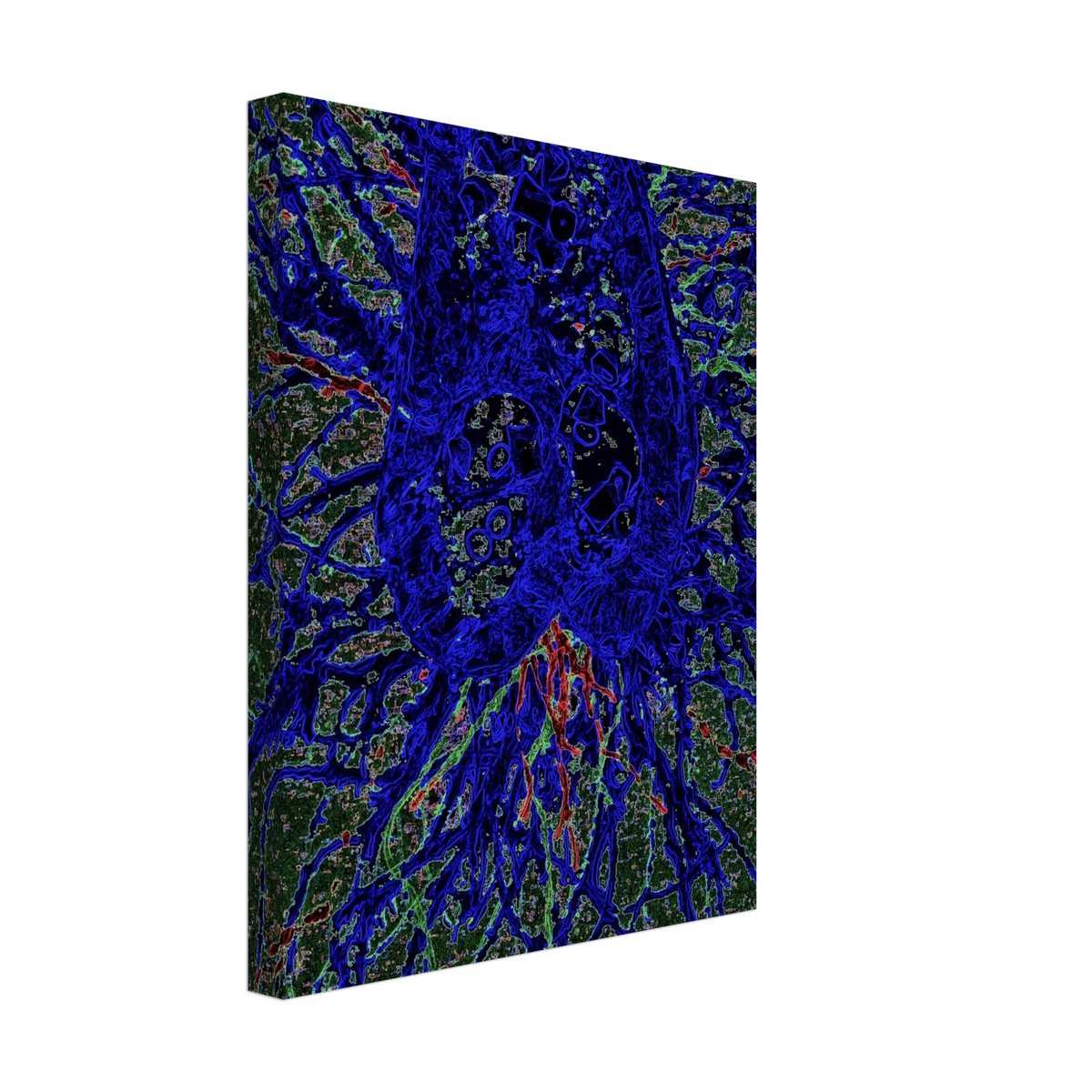 b0812fb8-f2ff-4592-9ff5-1ab88fd31fa0