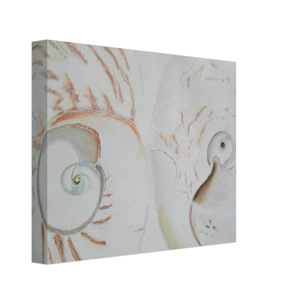 3d554e0a-9ac6-43ab-a685-266e3618511b