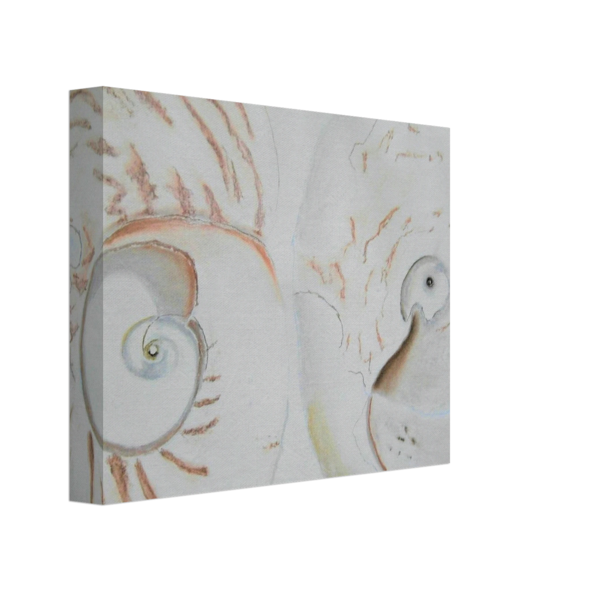 43d65944-925d-4aaa-85e5-b794465cb758