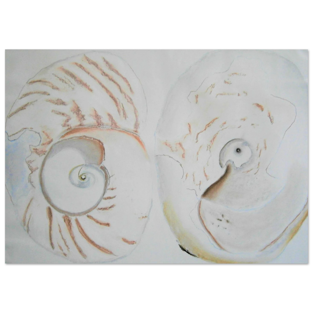 9dd9508d-7fa5-473f-b962-f27705909086