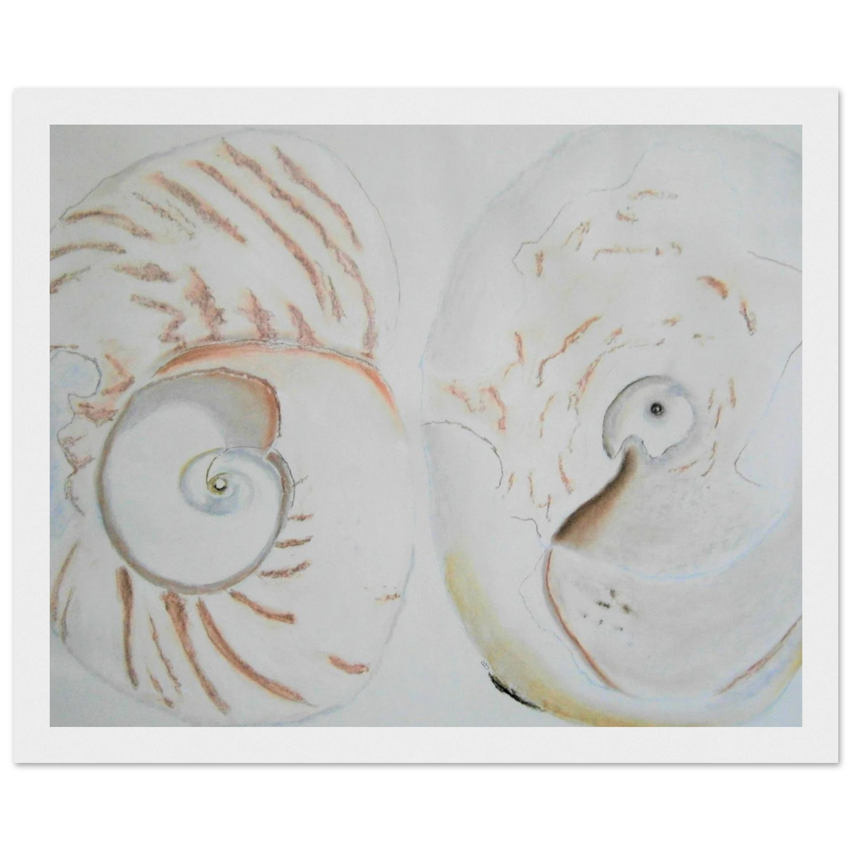 cd2b2ec2-356b-4199-bc41-95dca7b75fd6