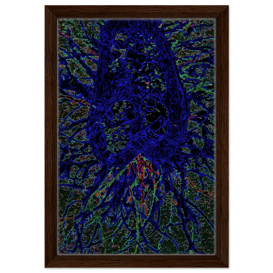 d1399ef9-c7c9-481d-97d9-ba5ddd628ac8