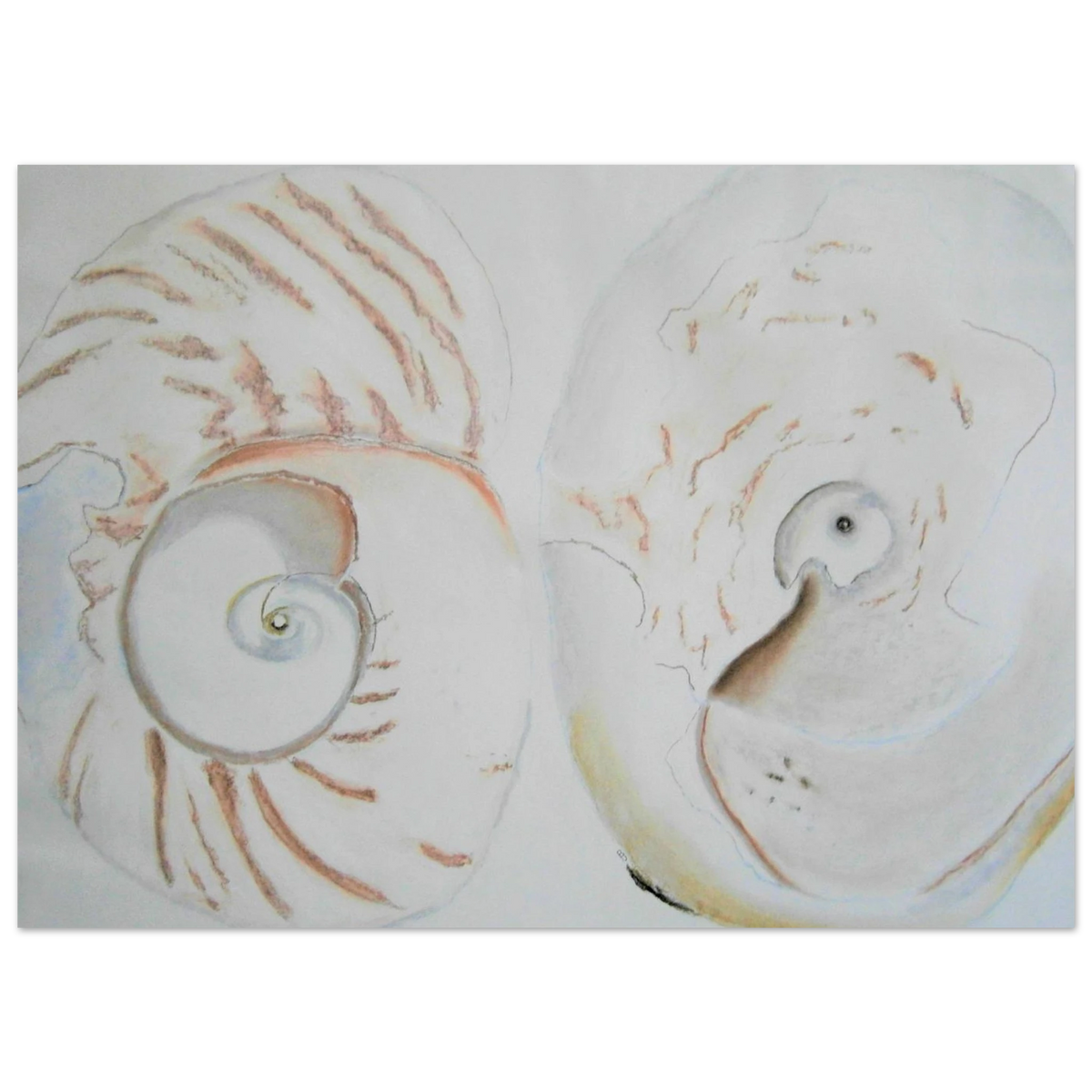 f03f2b89-277c-45e6-ab82-d39d89b26a89